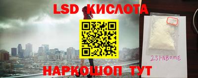 индика Ставрополь