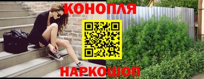 индика Ставрополь
