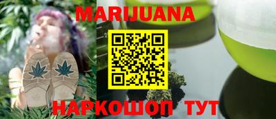 индика Ставрополь