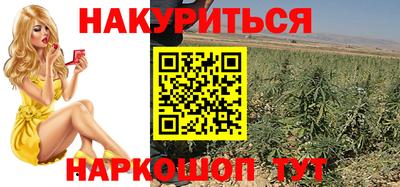 индика Ставрополь