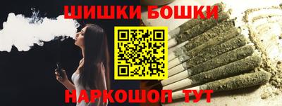 индика Ставрополь