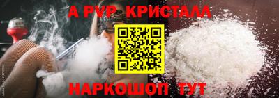индика Ставрополь