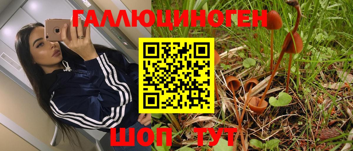 Наро-Фоминск  Псилоцибиновые грибы прущие грибы  Вход с VPN 