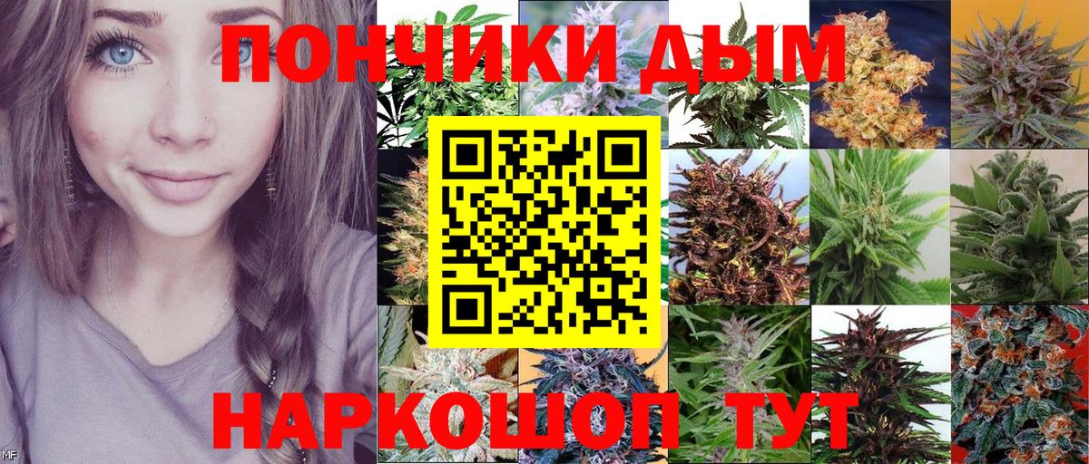 Наро-Фоминск  Шишки марихуана OG Kush  Вход с VPN  Каннабис план  Бошки марихуана план 